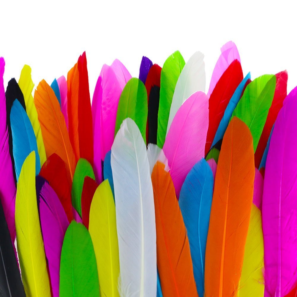 Lot de 100 Plumes d'Oie/Couleau Multicolores pour Décoration - Vente en Gros Lot de 100 Plumes d'Oie/Couleau Multicolores pour Décoration - Vente en Gros