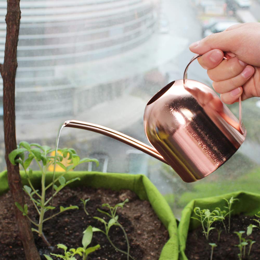 Amazon | じょうろ おしゃれ ステンレス 小型 水差し 園芸 観葉植物