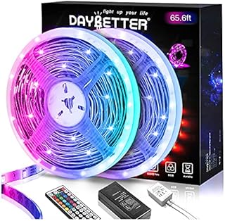 DAYBETTER Led Lights 65.6ft, 5050 RGB Led Strip Lights Flexible Color Changing Remote Control Led Light Strips, 2 Rolls of 32.8ft Led Lights for Bedroom Room Decoration