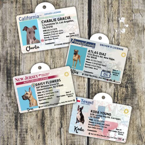 Driver License Custom Dog Tag For Pets And Wallet Card - Dog Tags For Dogs - Dog Id Tag - Personalized Dog Id Tags - Cat Id Tags - Pet Id Tags For Cats - Personalized Pet Id Tags (California, Tag) #TOP2
