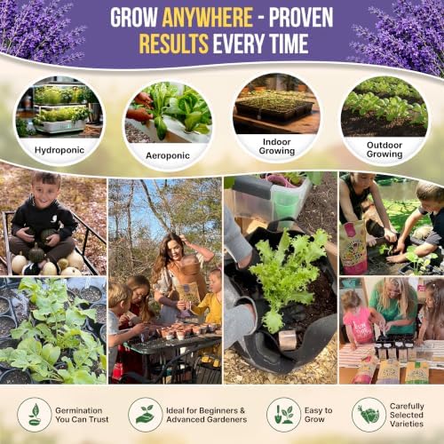 Organo Republic 5-Pack English Lavender Seeds 12.50G - Over 11000 Non-GMO Heirloom Lavender Seeds for Planting in Individual Seed Packets, Herb Seeds for Planting Home Garden Indoor & Outdoor — view 3