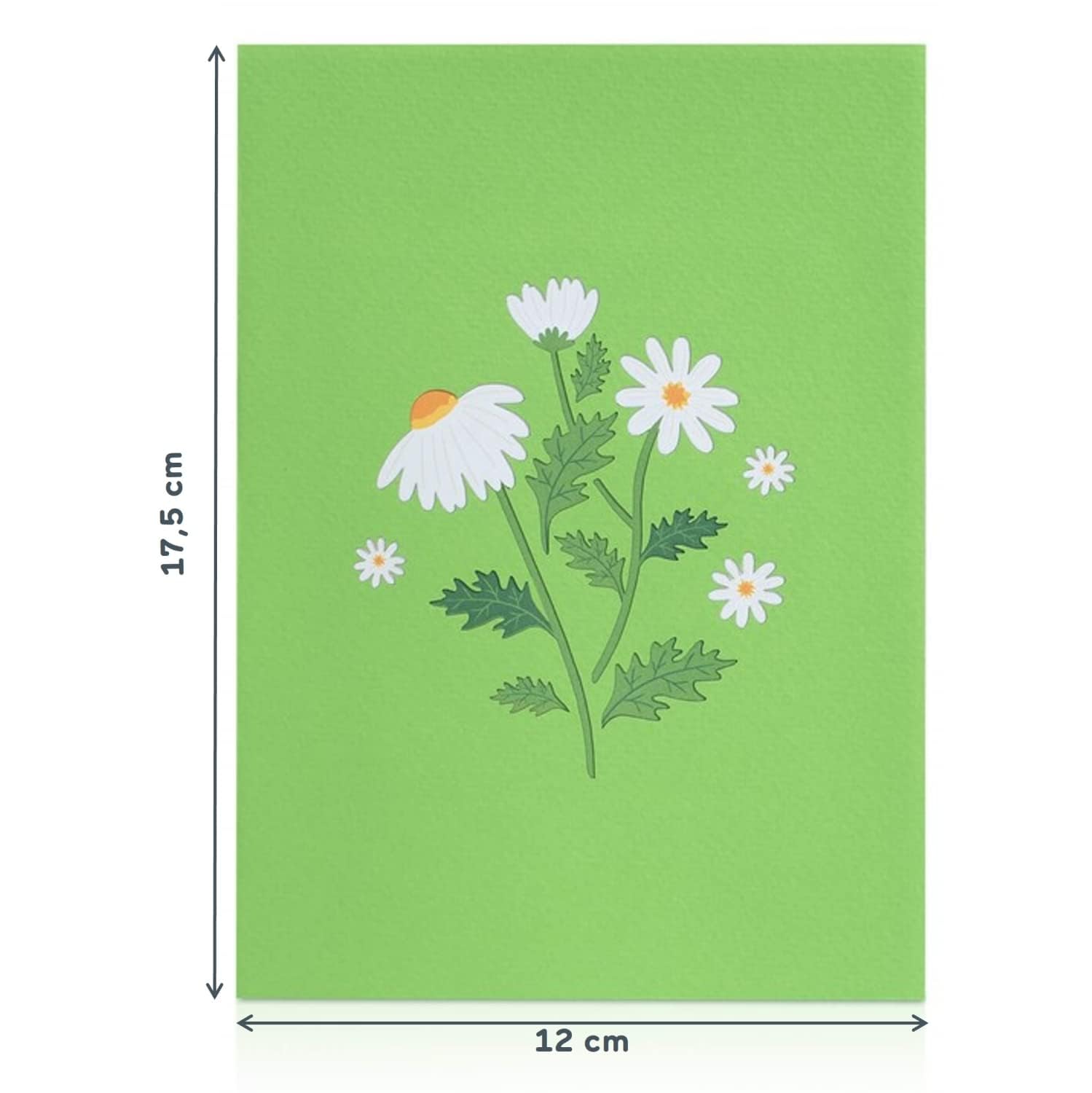 papercrush® Kartka pop up Stokrotki i motyl - Kartka urodzinowa 3D dla kobiet (mama, dziewczyna, babcia), kartka powodzenia, karta szybkiego powrotu do zdrowia, kartka z podziękowaniami lub emeryturą