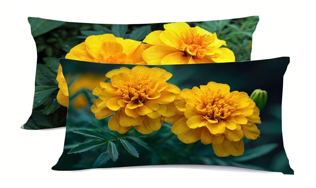 Taie d'oreiller 50x75cm en lin de qualité pour une parure de lit élégante bz-476
