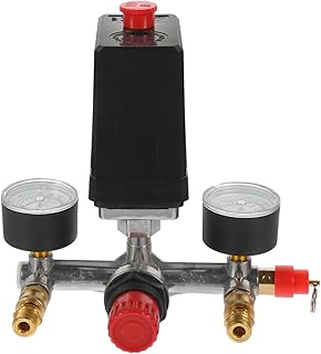 SEWOART Válvula De Reducción De Presión Con Manómetros y Seguridad Soporte De Presión Orificio Control y Duradero Color Negro