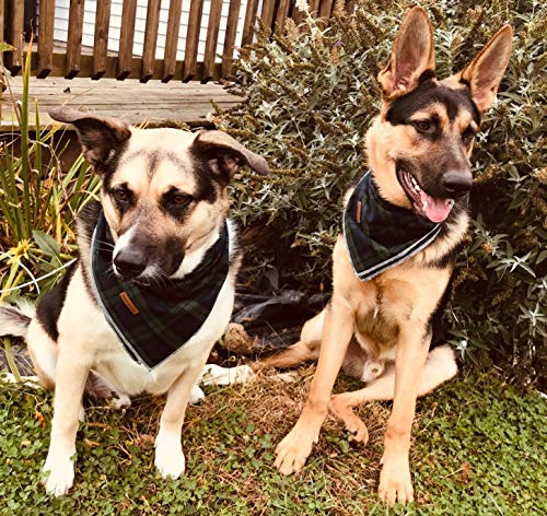 Unique style paws Hundeschal 1 STK. Waschbare Halsdreiecke aus Baumwolle Hundehalstücher für Kleine Mittel Große Hunde und Katzen