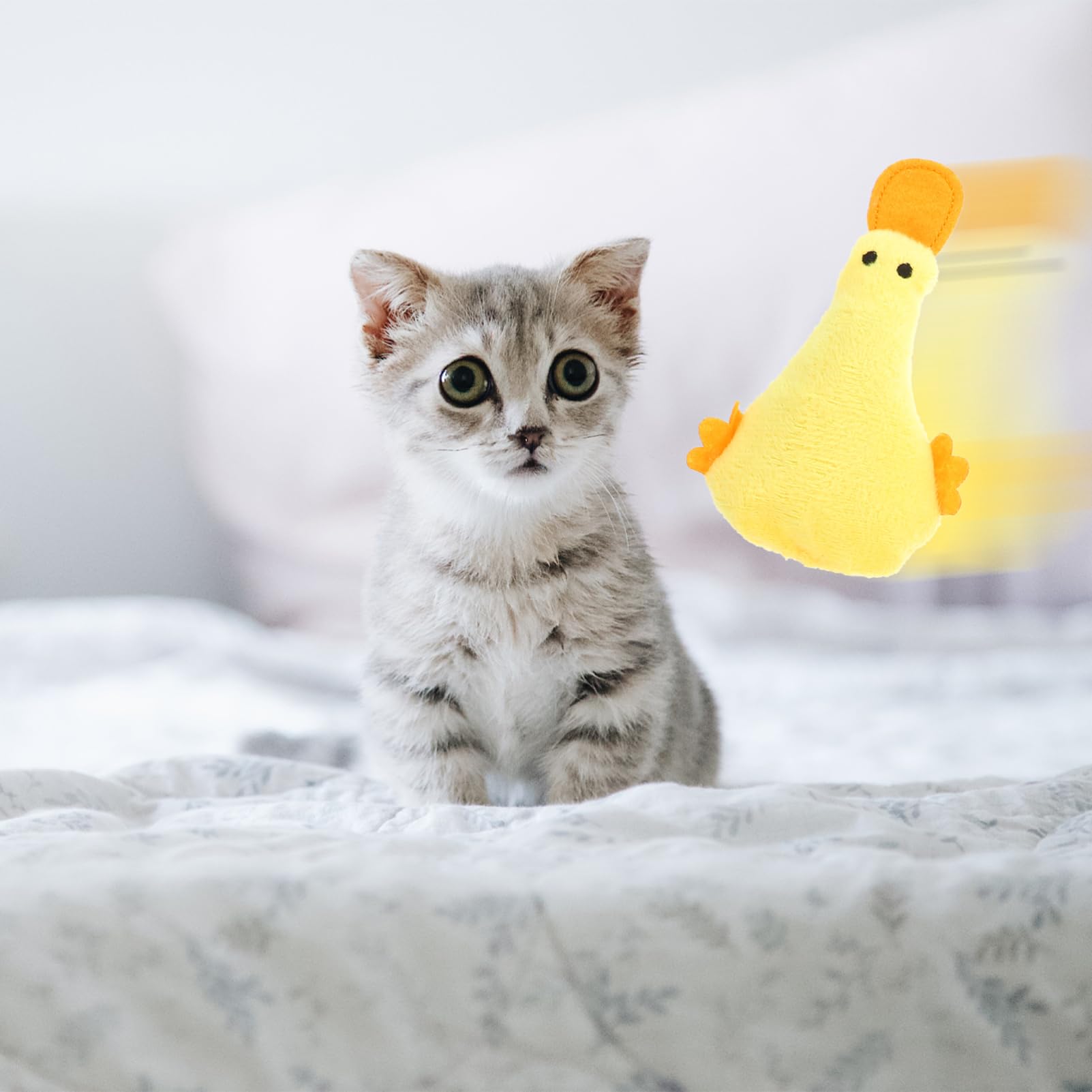 Toddmomy 20pièces Jouets à Mordre pour Chats Jouets Peluche avec Herbe à Chat Accessoires Ludiques De Couleurs