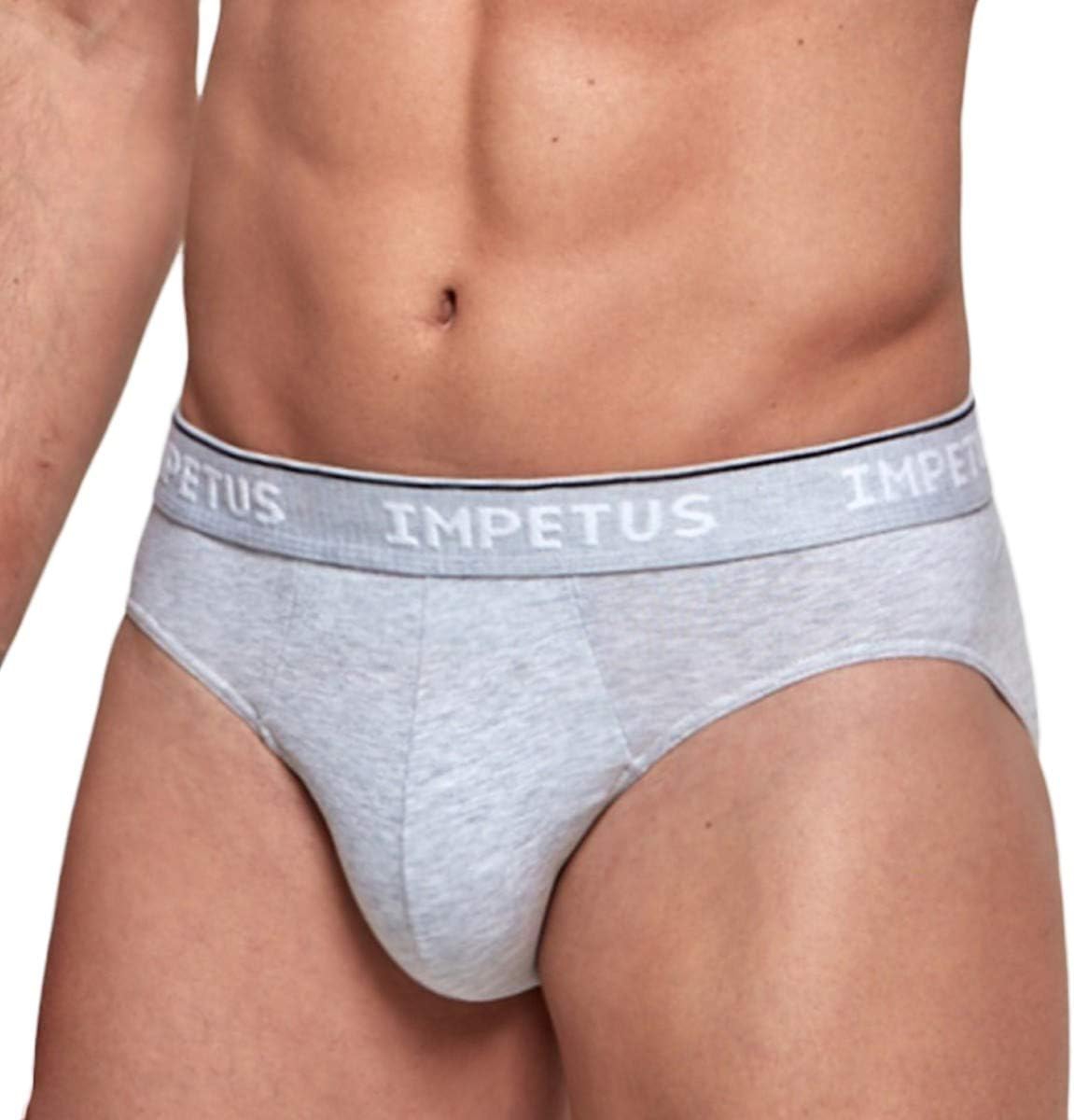 Certified Organic Cotton Brief Underwear