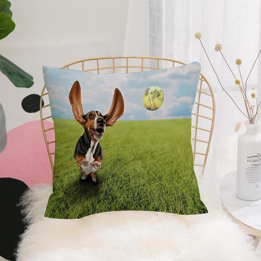 HYMSXW Cushion Cover,Throw Pillow Case Home Decorative for Living Room Bedroom Sofa Chair 20X20 Inch,dog, basset hound, yard, chase, tennis,Pillowcase 50X50cm