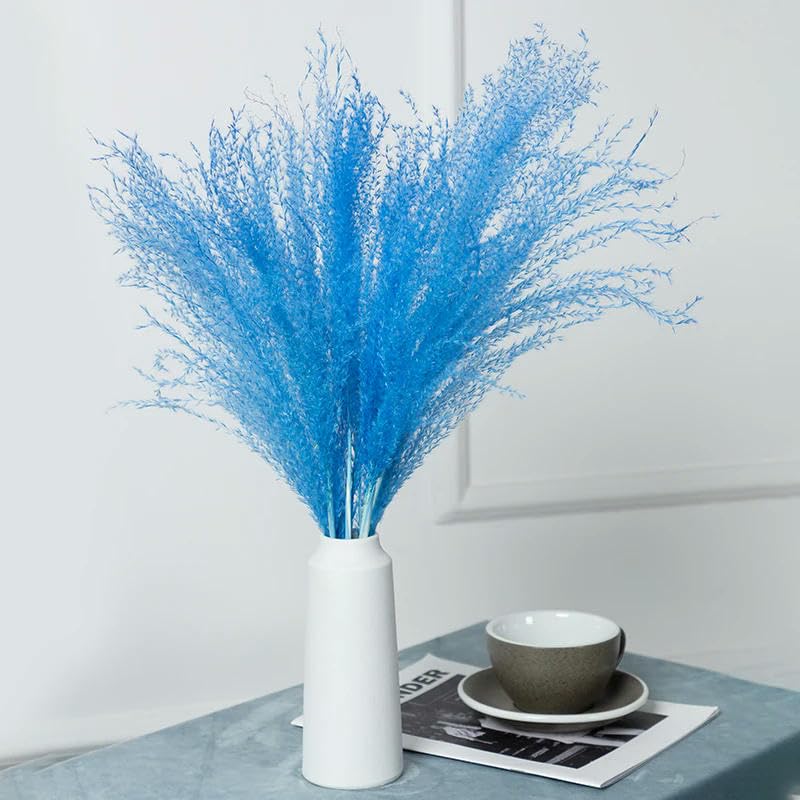 Véritable petite herbe séchée bouquet de mariage plantes naturelles décoration d'intérieur fleurs artificielles séchées Phragmites fleur ornementale