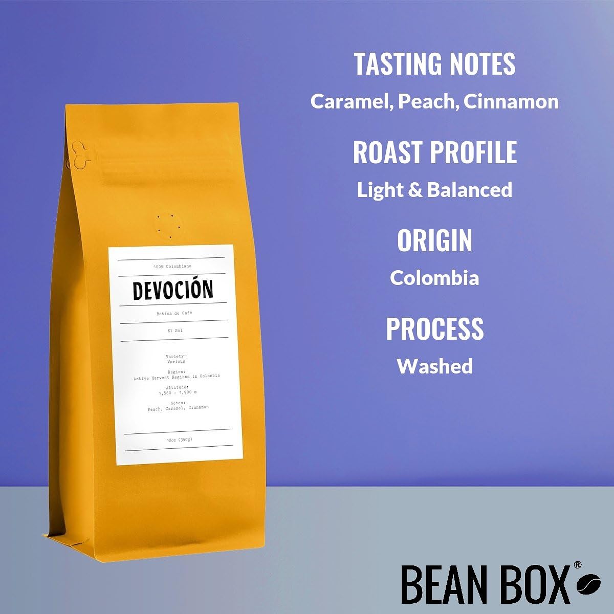 Bean Box Coffee Sampler - Roasted by Devocion, 3-Pack, Freshly Ground Coffee, Gourmet Coffee
