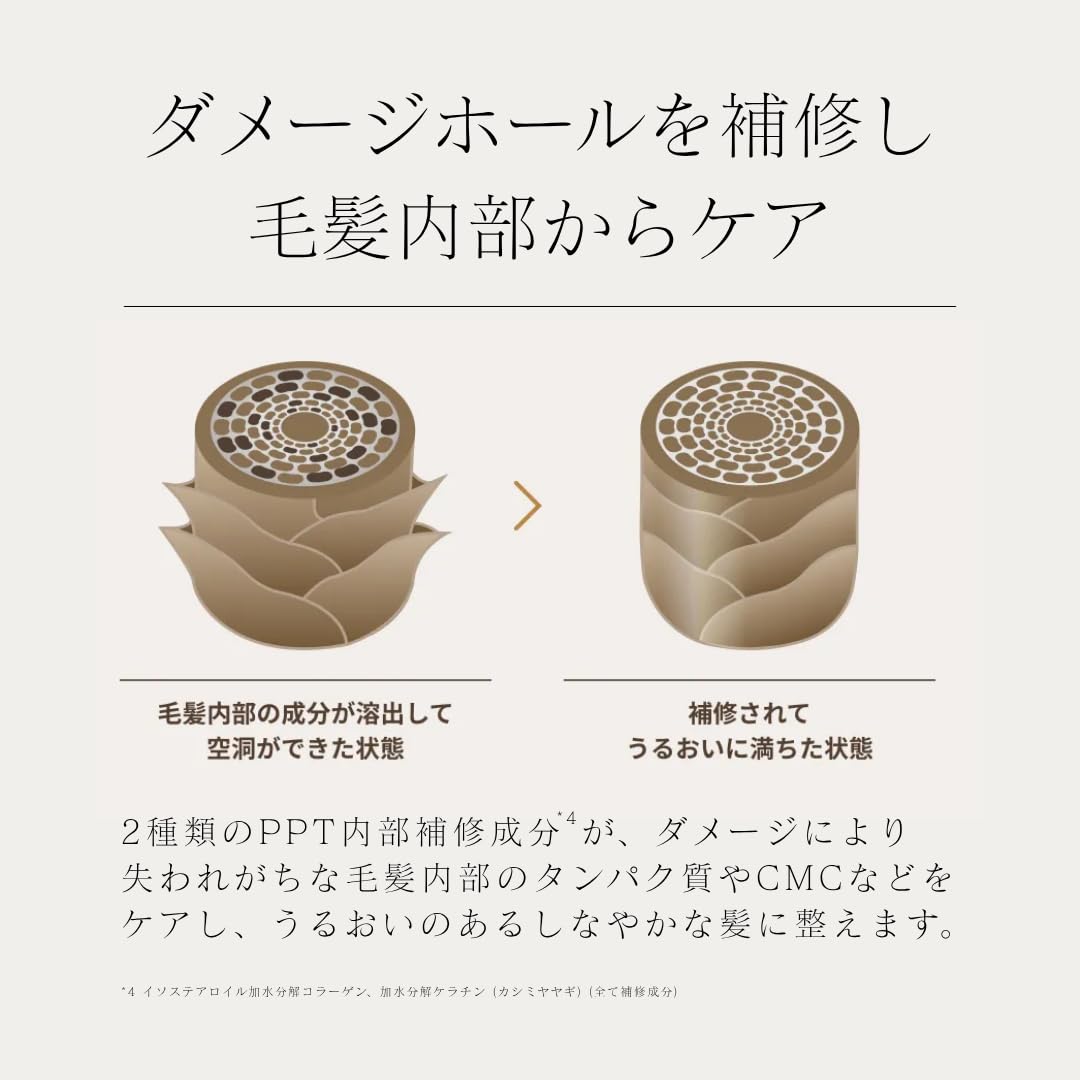 Amazon | JoluXe （ジョルクス） PPTデイリッチケア シャンプー