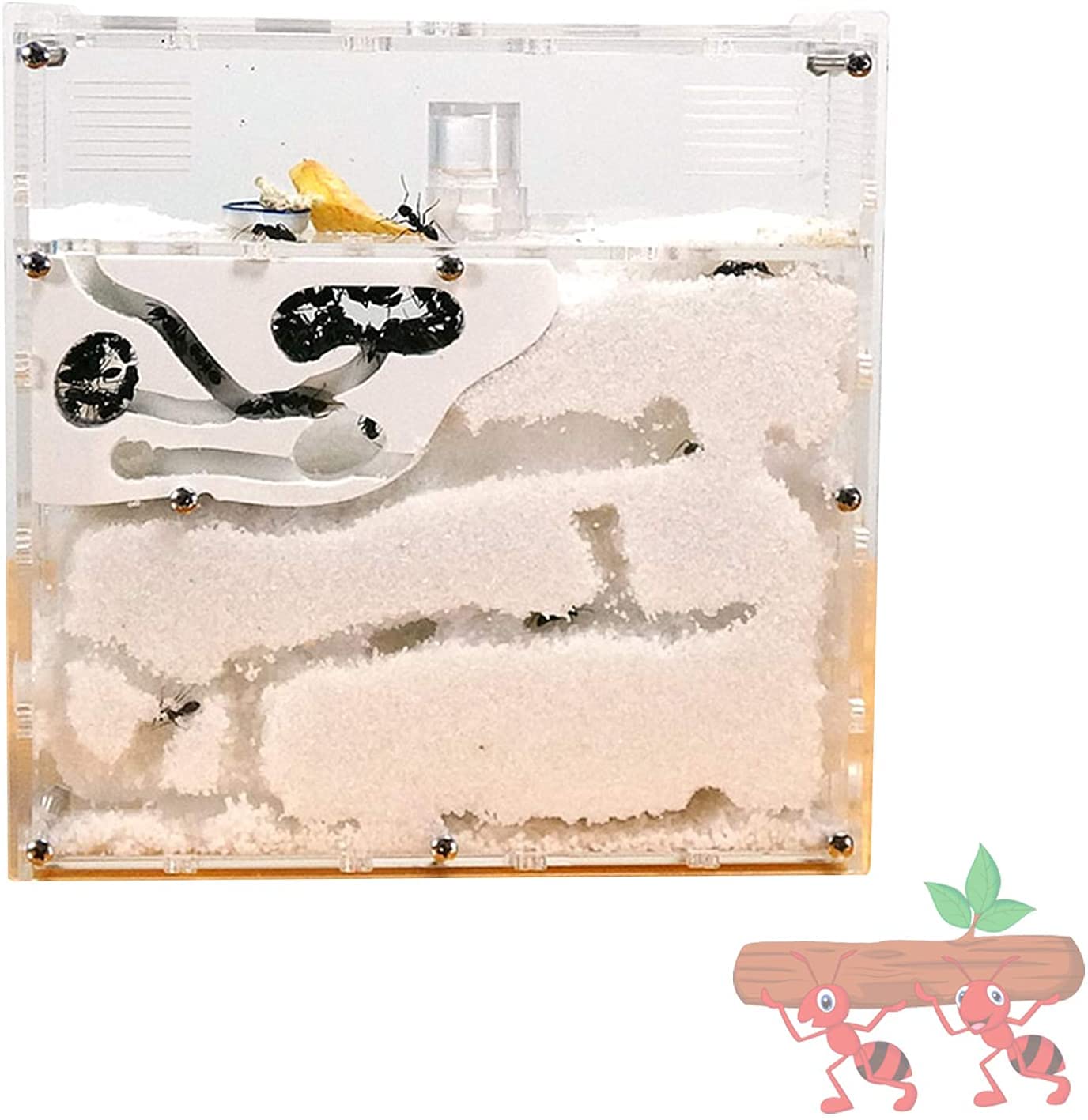 Buy TYSJL Ant Feeding House, Ant Sand Castle, Pet Ant Nest Ecosystem