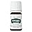 Young Living Essential Oil Blend | Refreshing & Soothing Aroma | 100% Pure Essential Oil for Home, Work, & Personal Use | Peppermint Vitality | 5 ml