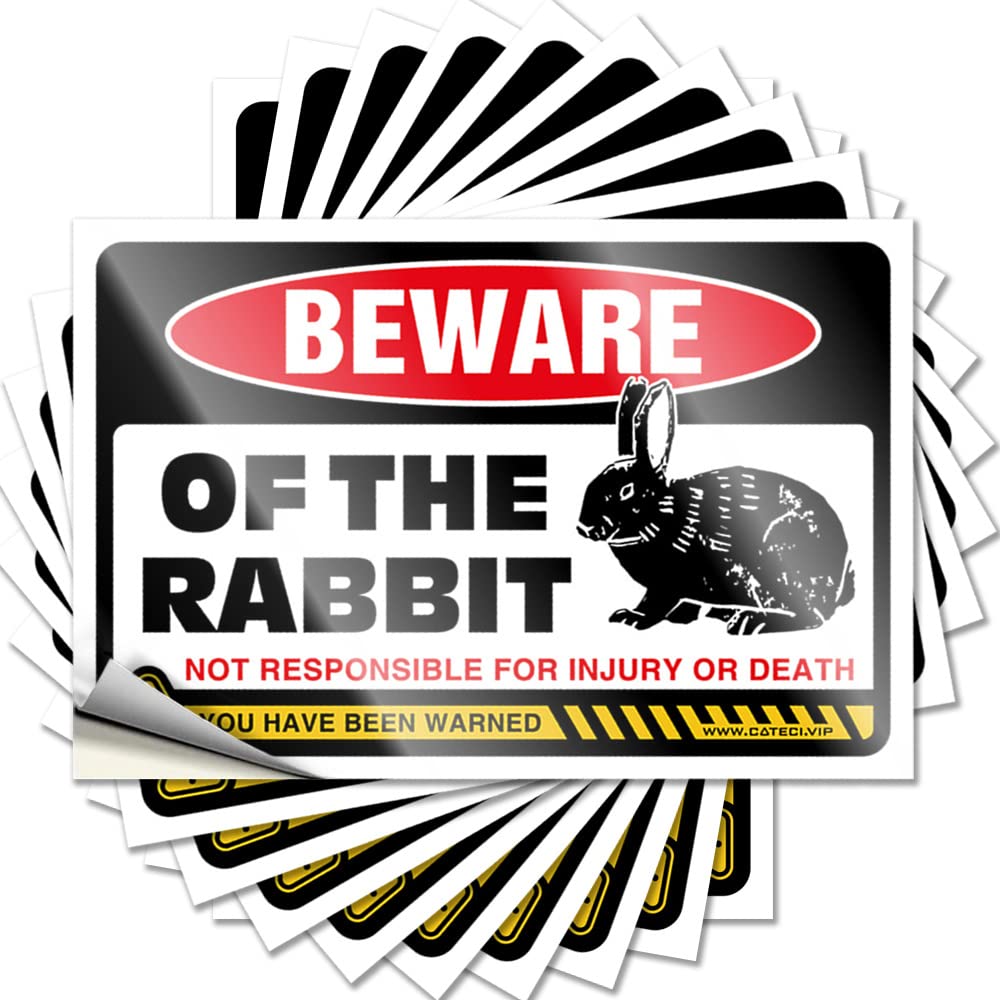 Decal Assorted, Cars Decor Beware of Rabbits | Backyard Decor(8X12CM)