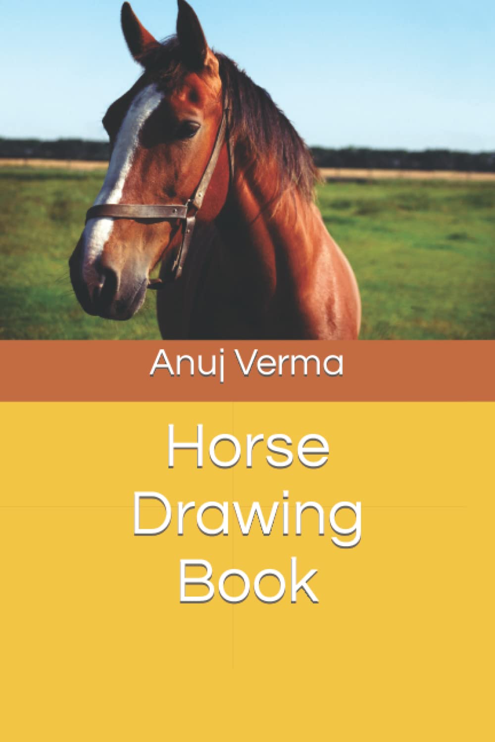 Livre de dessin de cheval un cadeau artistique merveilleux pour les passionnés d'équitation