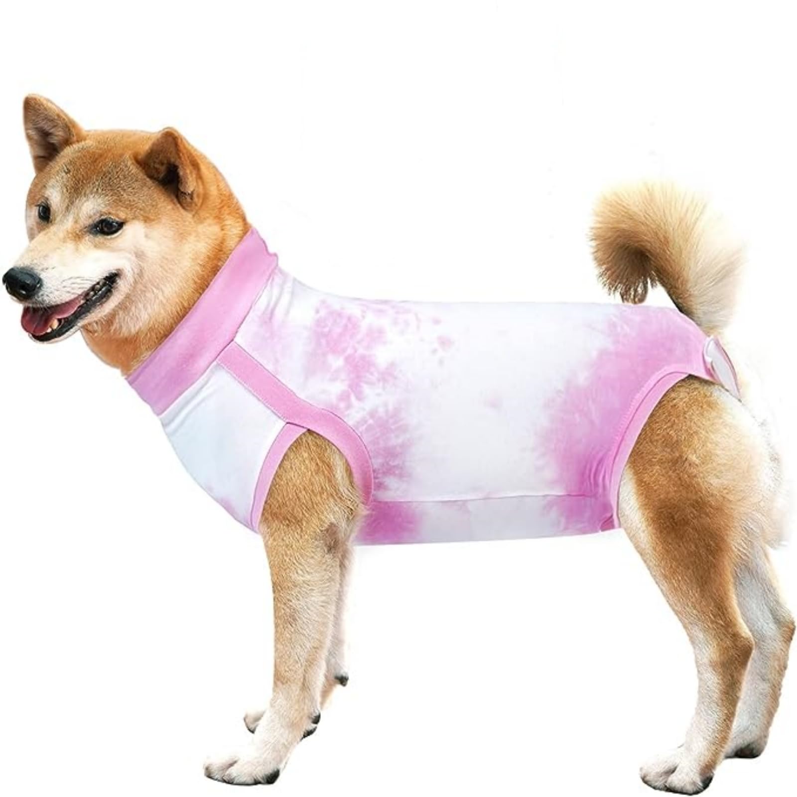 Alternative body pour mâles chiens et chats afin d'éviter le léchage