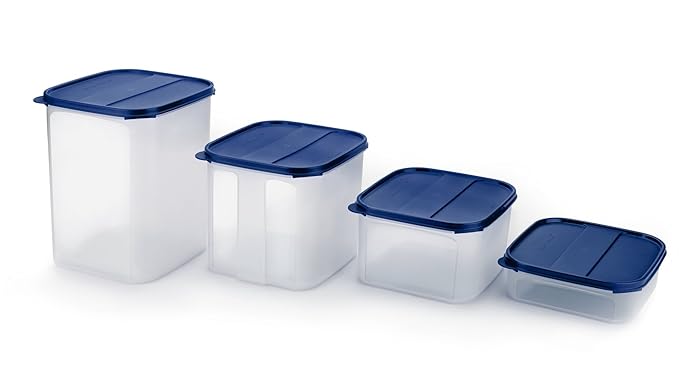 Signoraware Easy to Organise Plastic Container Set, 4-Pieces, Blue