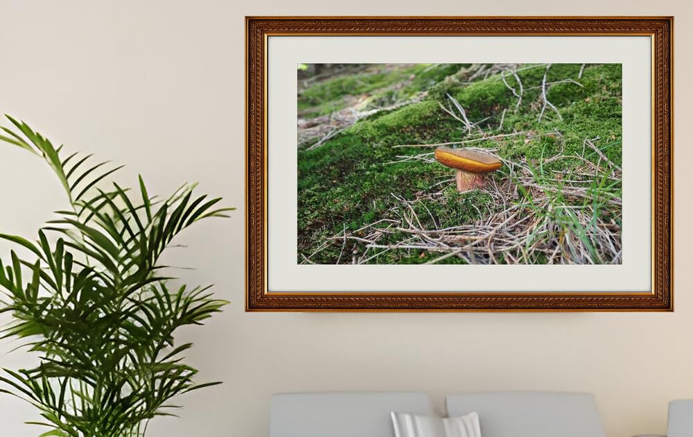 JVERF - JZZG24860 Mushrooms Nature Penny bun Moss| Self-Adhesive