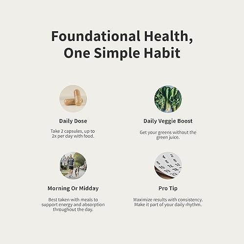 Miniatura 5 de Snap Supplements Multivitamínicos para hombres, vitaminas y minerales diarios para hombres, vitamina D, B12, zinc, hierbas y vitamina C para apoyo