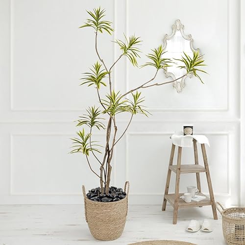 Miniatura 4 de Piedras negras de 2 libras para plantas de interior, rocas decorativas de río negro de 1-2 pulgadas para plantas, piedras para macetas, rocas de