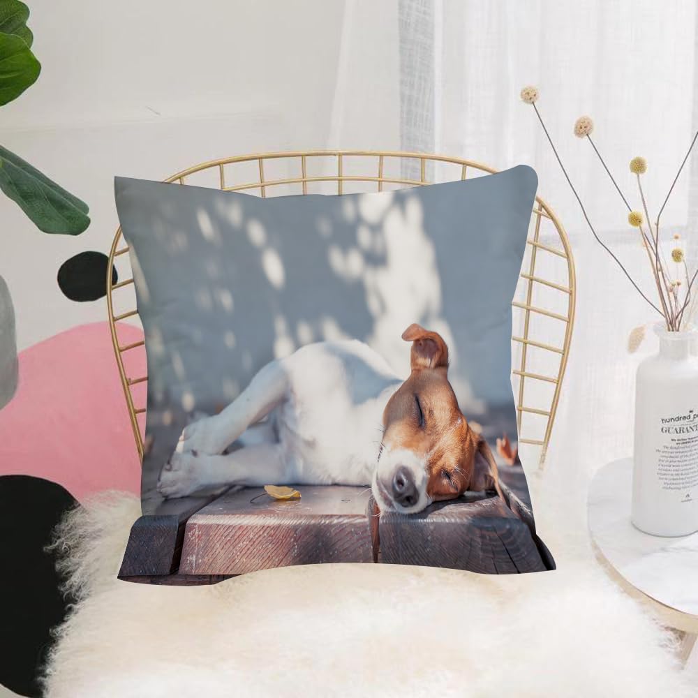 HYOSXW Cushion Cover,Throw Pillow Case Home Decorative for Living Room Bedroom Sofa Chair 16X16 Inch,Jack Russell Dog on the autumn porch,Pillowcase 40X40cm