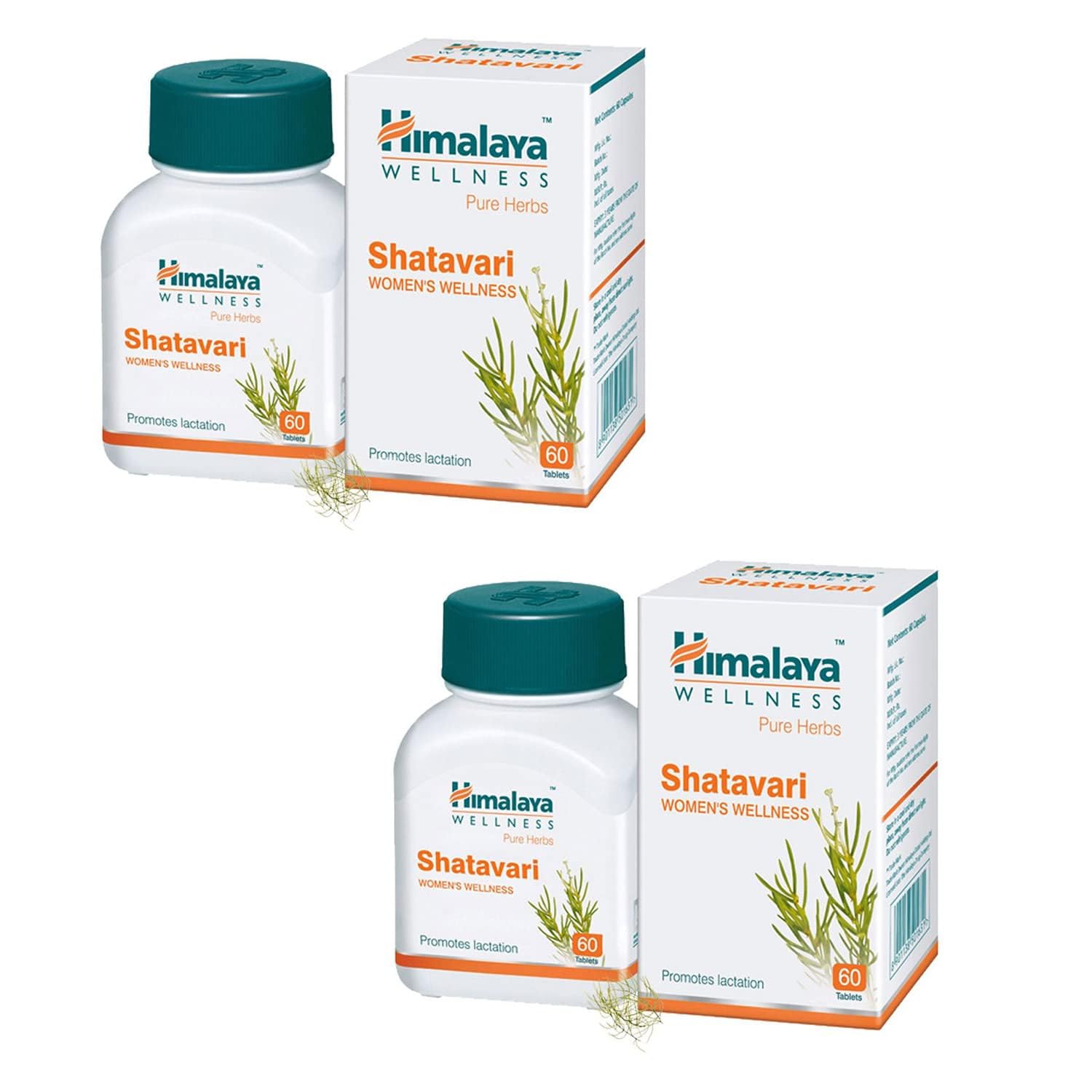 Himalaya Shatavari tablet for lactation | Breastfeeding supplement | Helps in post delivery | Increases breast milk supply | Lactation supplement for women and mothers|120 Tablets (B0BW5RYZCD) Amazon Price History, Amazon Price Tracker