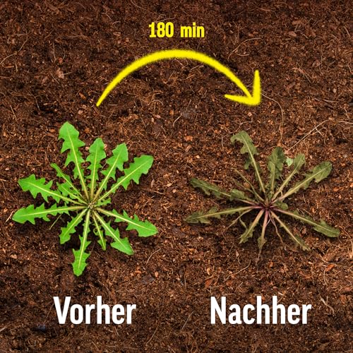 Roundup Unkrautfrei Express, 5 Liter Nachfüll-Kanister, Fertigmischung zur Bekämpfung von Unkräutern und Gräsern