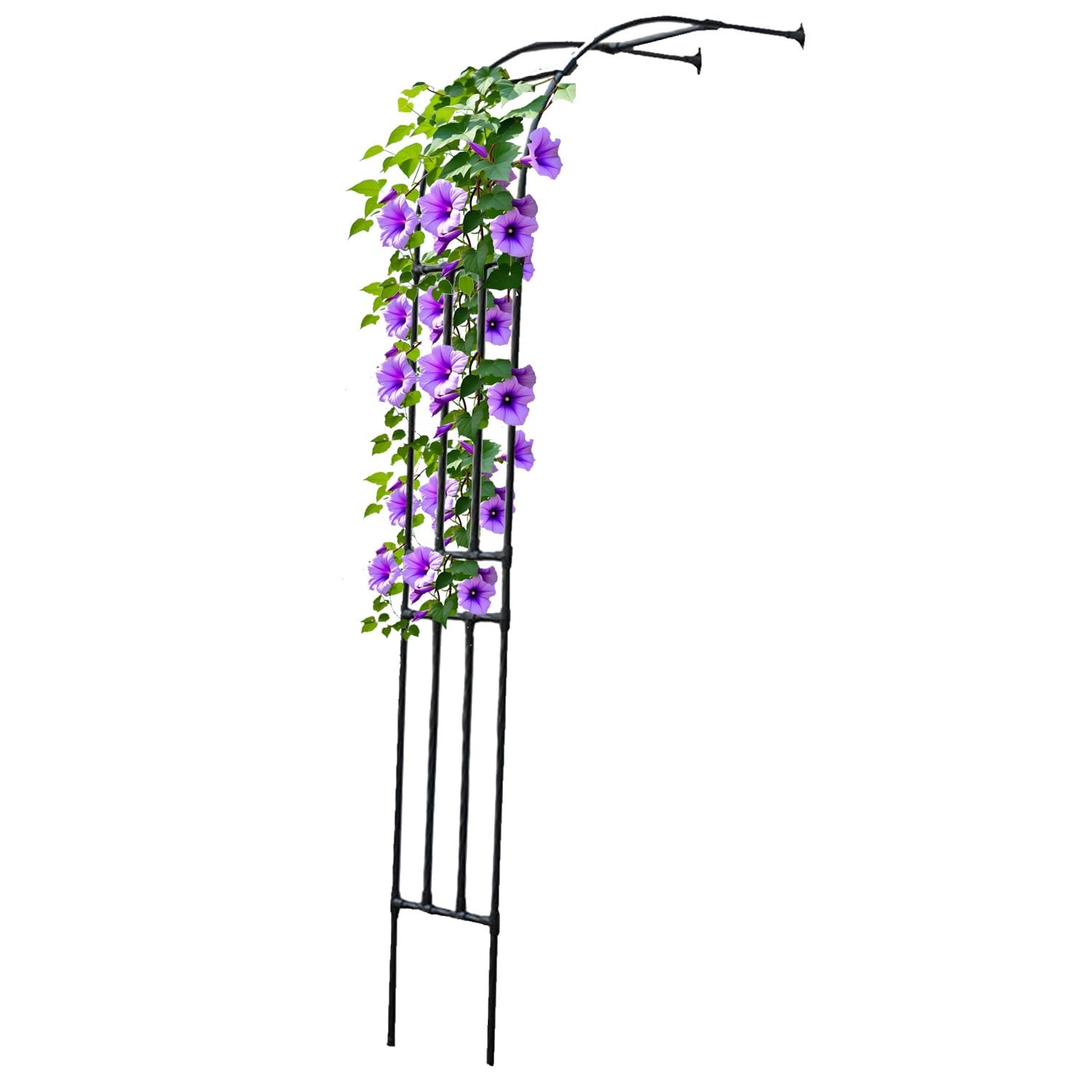 Treillis d'arche de jardin robuste noir pour plantes grimpantes et roses – Support extérieur, 60 x 300 cm – Design durable pour l'aménagement paysager et la décoration de jardin