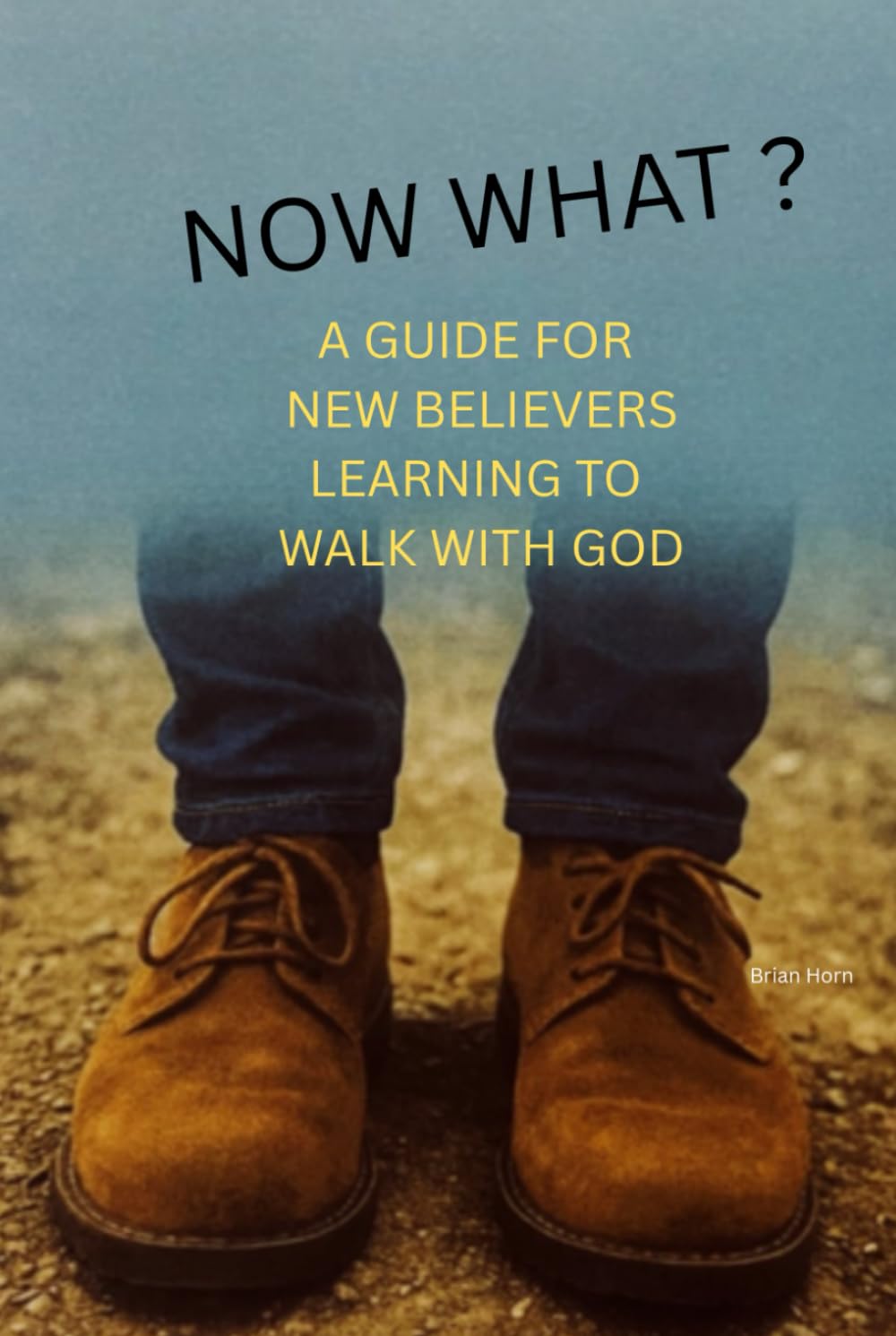 Now What?: A Guide For New Believers Learning To Walk With God