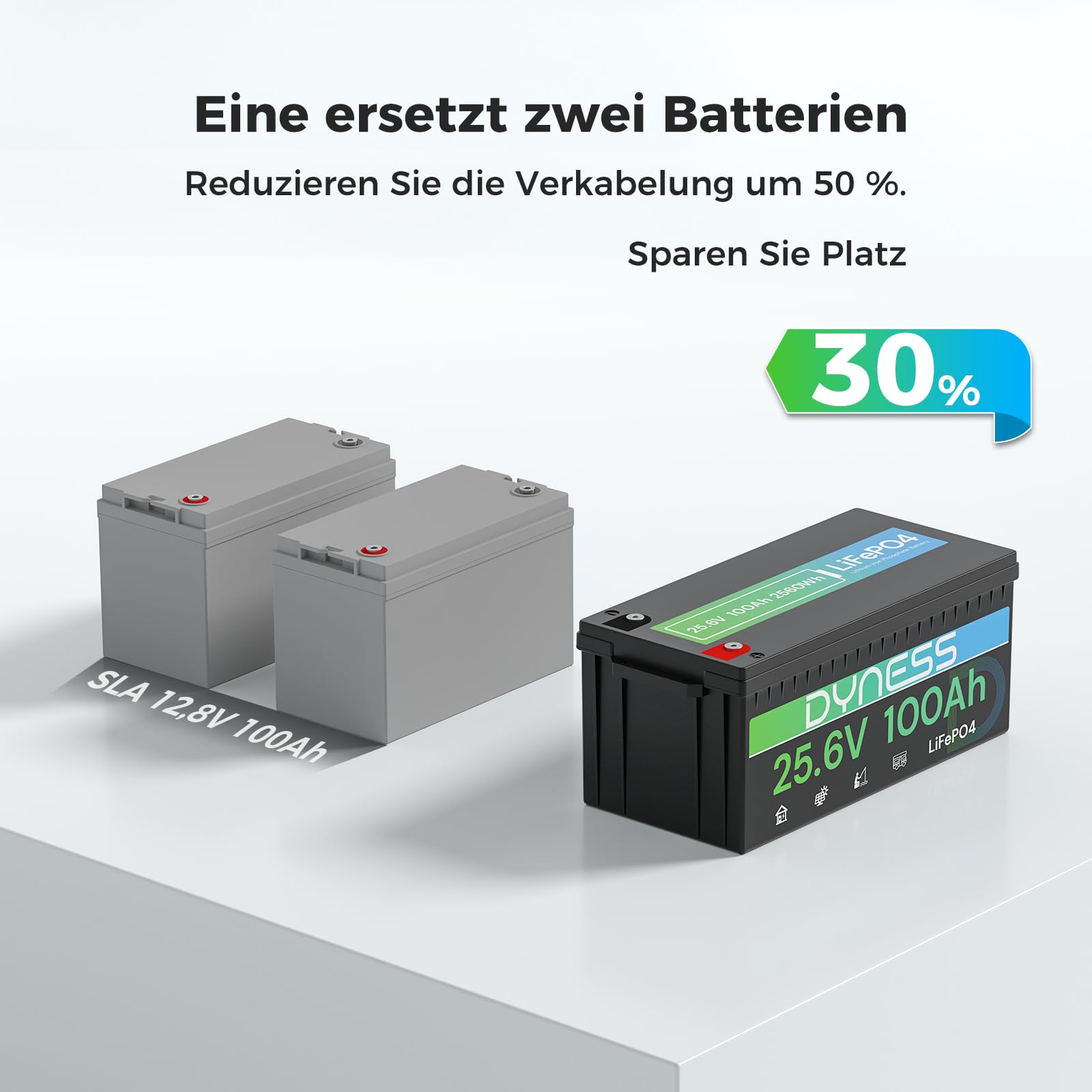 Dyness 24V 100Ah LiFePO4 Lithium Batterie mit Integriertem 100A BMS und Tieftemperaturschutz, ideal für 24V Trolling-Motoren(Bassboote), Wohnmobile und netzunabhängige Anwendungen