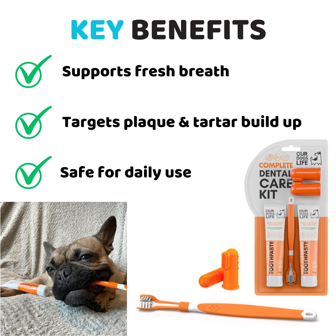 Diş Macunu ile Köpek Diş Fırçası | Onaylanmış Köpek Diş Kiti | Köpekler için Üç Başlı Derin Temizleme Diş Fırçası +%100 Doğal Diş Macunu | Nefes Alır ve Plakları Çıkarır