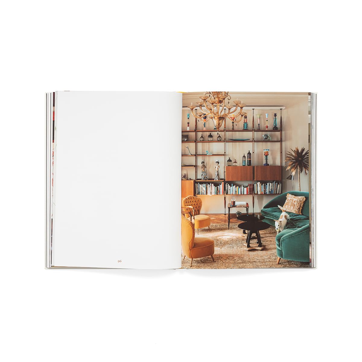 Still pets. Stories from living rooms. Dogs. Ediz. italiana e inglese