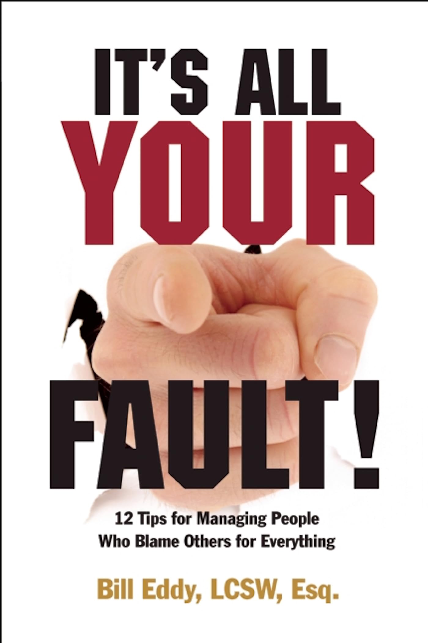 It's All Your Fault!: 12 Tips for Managing People Who Blame Others for Everything Paperback – 21 February 2012