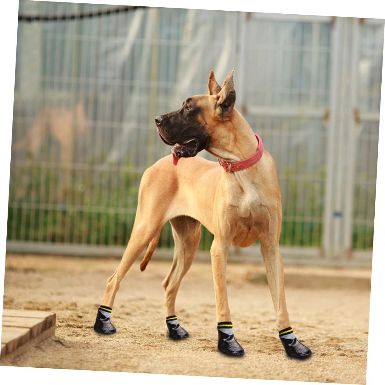 Beavorty 3ensembles Hiver Étanches pour Petits Chiens Chaussures Antidérapantes Caoutchouc Noir pour Chiens Pluie