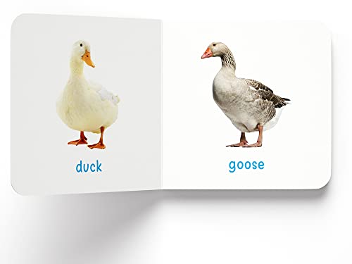 My First Book of Farm Animals & Pets: First Board Book
