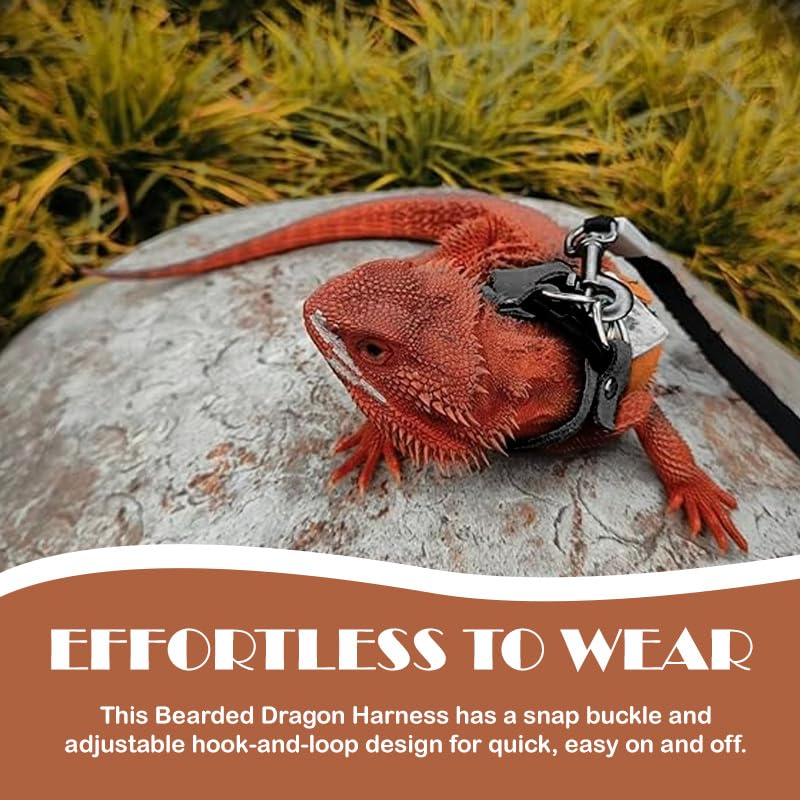 Image of Bearded Dragon Leash - 3 Sizes Pack Reptile Outing Adjustable Soft Leather Lizard Harness with Retractable Leash Small Animal Traction Rope Walking Vest Accessories for Bearded Dragon Leash(Black)