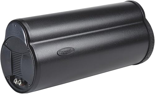 Miniatura 8 de Bazooka BT1024DVC  Tubo pasivo dual BT Series, 10 pulgadas, 4ohm, 6"