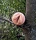 Fleshlight Freaks Bigfoot Masturbator - SuperSkin Masturbator, Sex-Spielzeug extrem realistisch