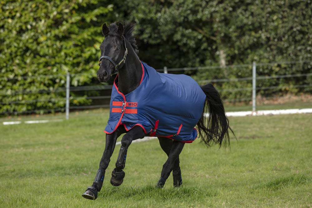Manta para caballo Mio Lite, color negro/turquesa, Black/Turquoise & Black