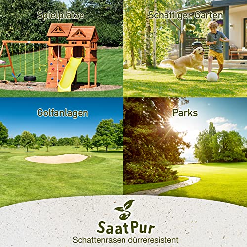 Foto von SaatPur® Rasensamen Schattenrasen Dürreresistent 5kg für ca. 150 m², Mehrjährige Rasemischung aus mehreren Rasenarten, meistens 4 bis 5, satt grün, schnellkeimend, hitzetolerant, Neusaat und Nachsaat