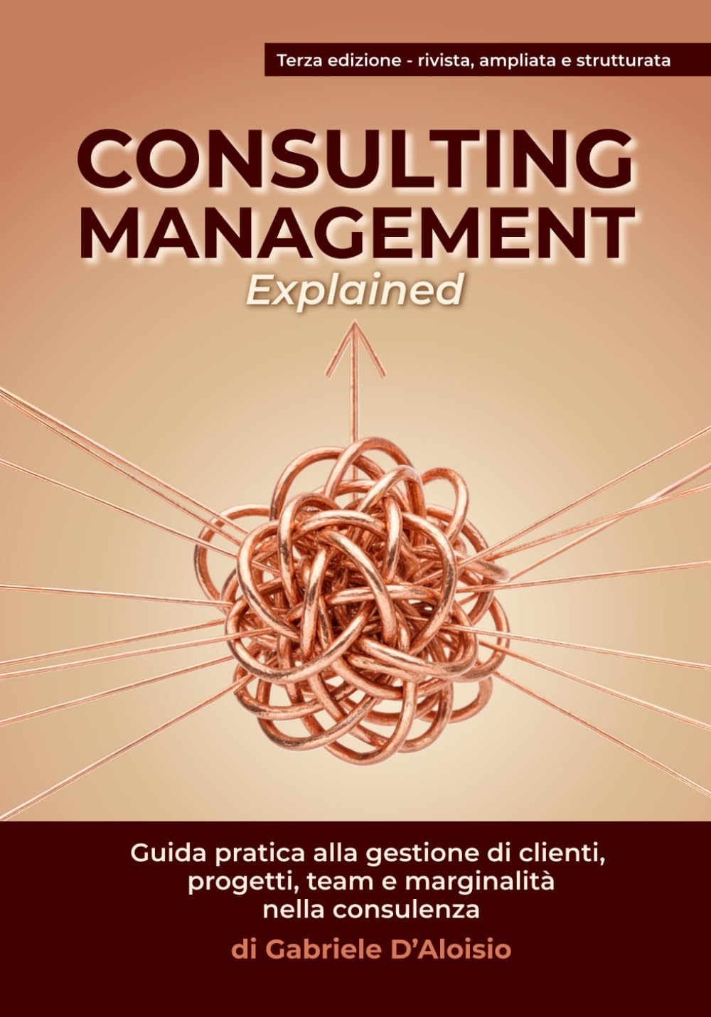 CONSULTING MANAGEMENT - Explained: Guida pratica alla gestione di clienti, progetti, team e marginalità nella consulenza
