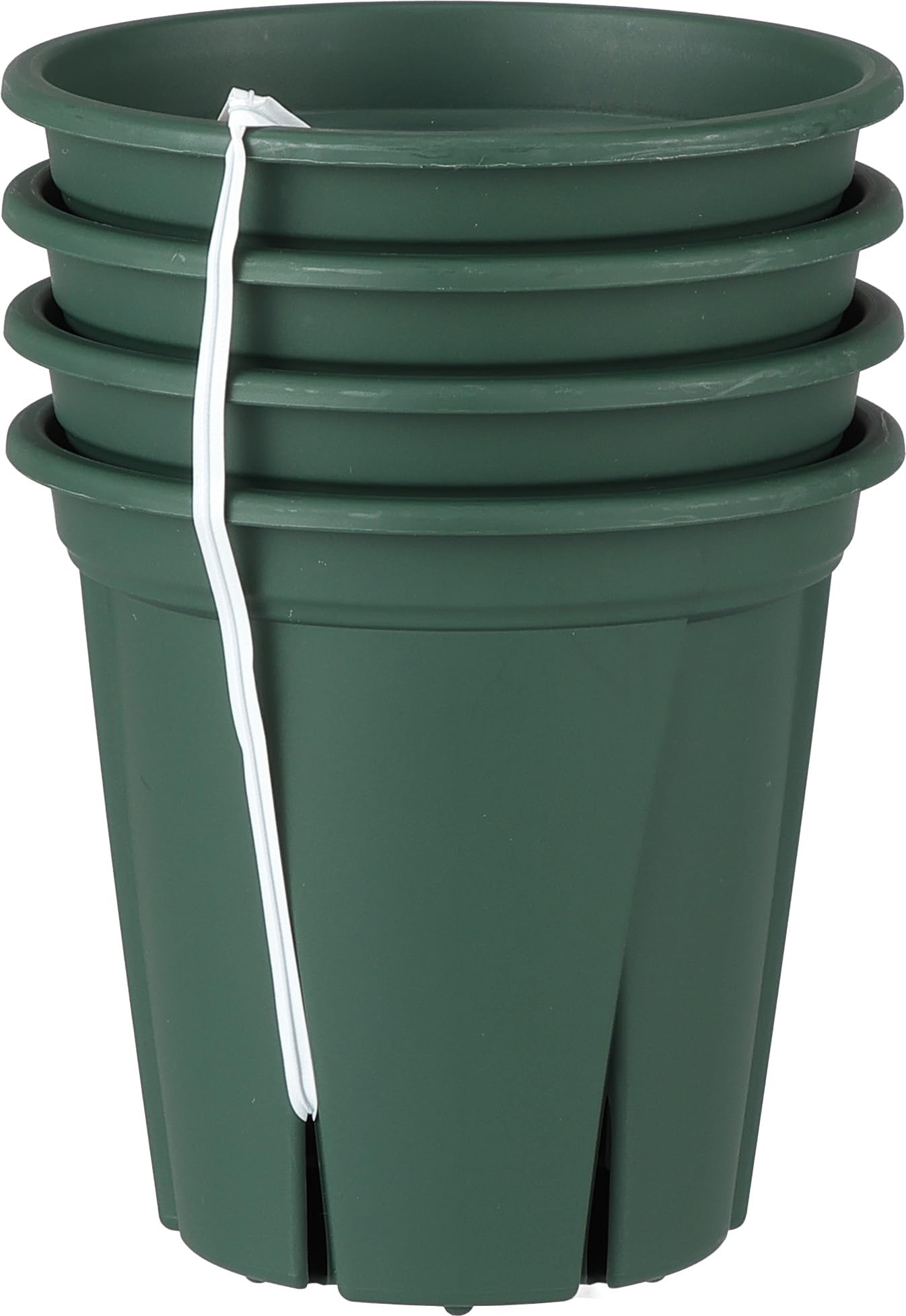 Amazon | アップルウェアー 植木鉢 根っこつよし 3.5号 グリーン
