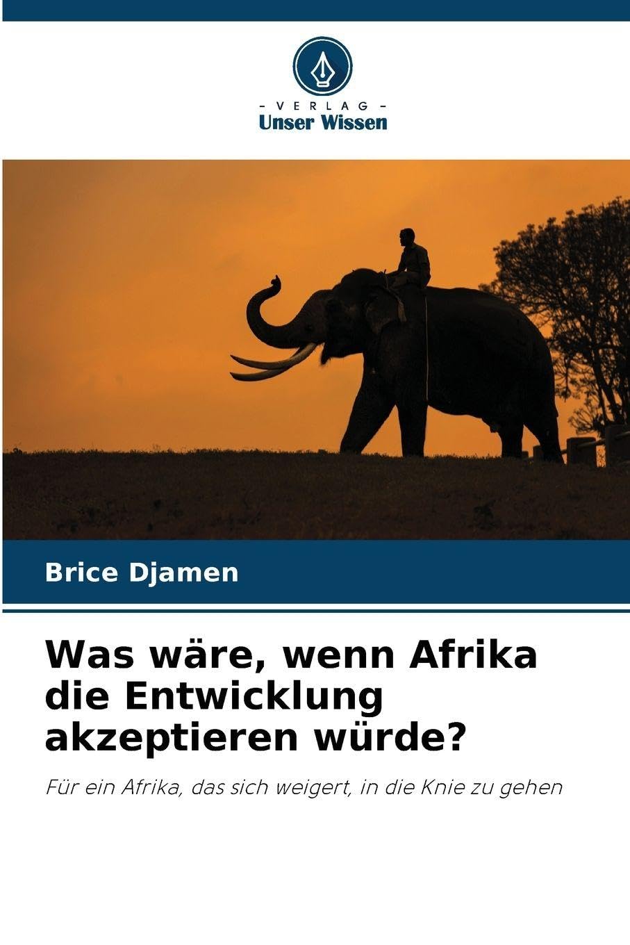 Was wäre, wenn Afrika die Entwicklung akzeptieren würde?: Für ein Afrika, das sich weigert, in die Knie zu gehen
