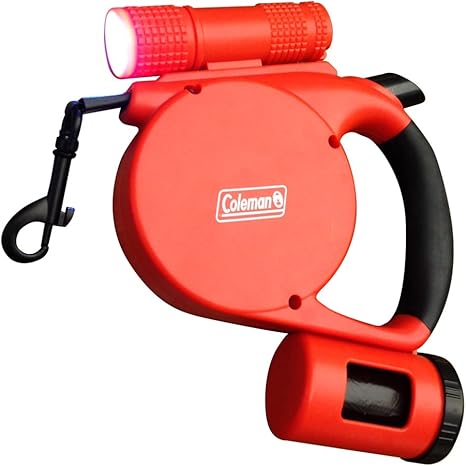 Leash with light Outlet