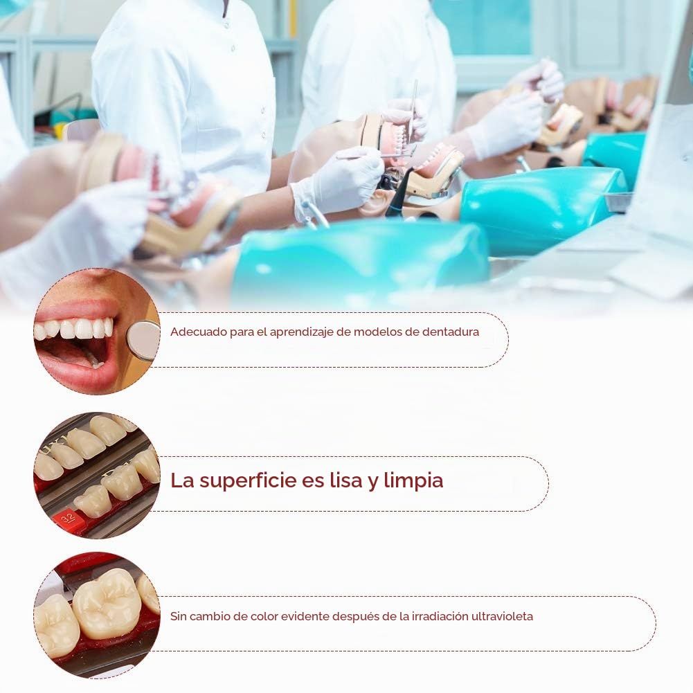 12 Uds. Dentadura postiza de resina, 84 Completos de Material Dental tonos A3, dentadura postiza de resina sintética para reemplazo DIY, Halloween Suministros para dentistas