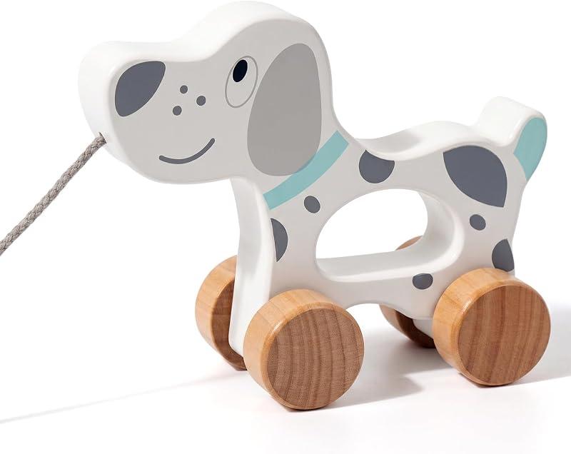 auto de juguetes para bebés, juguete de madera para niños pequeños de 1, 2 y 3 años | Juguete de desarrollo para empujar y tirar, regalo de cumpleaños para niños, niñas y niños, perro