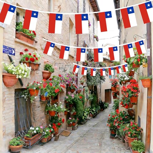 Image of AhfuLife 30 Pcs Chile String Flags for Independence Day Decorations, Small Chilean Flag Bunting Banner - Double Sided for National Day Festival Party Decorations (5.5x8.3 Inch-33 Ft)