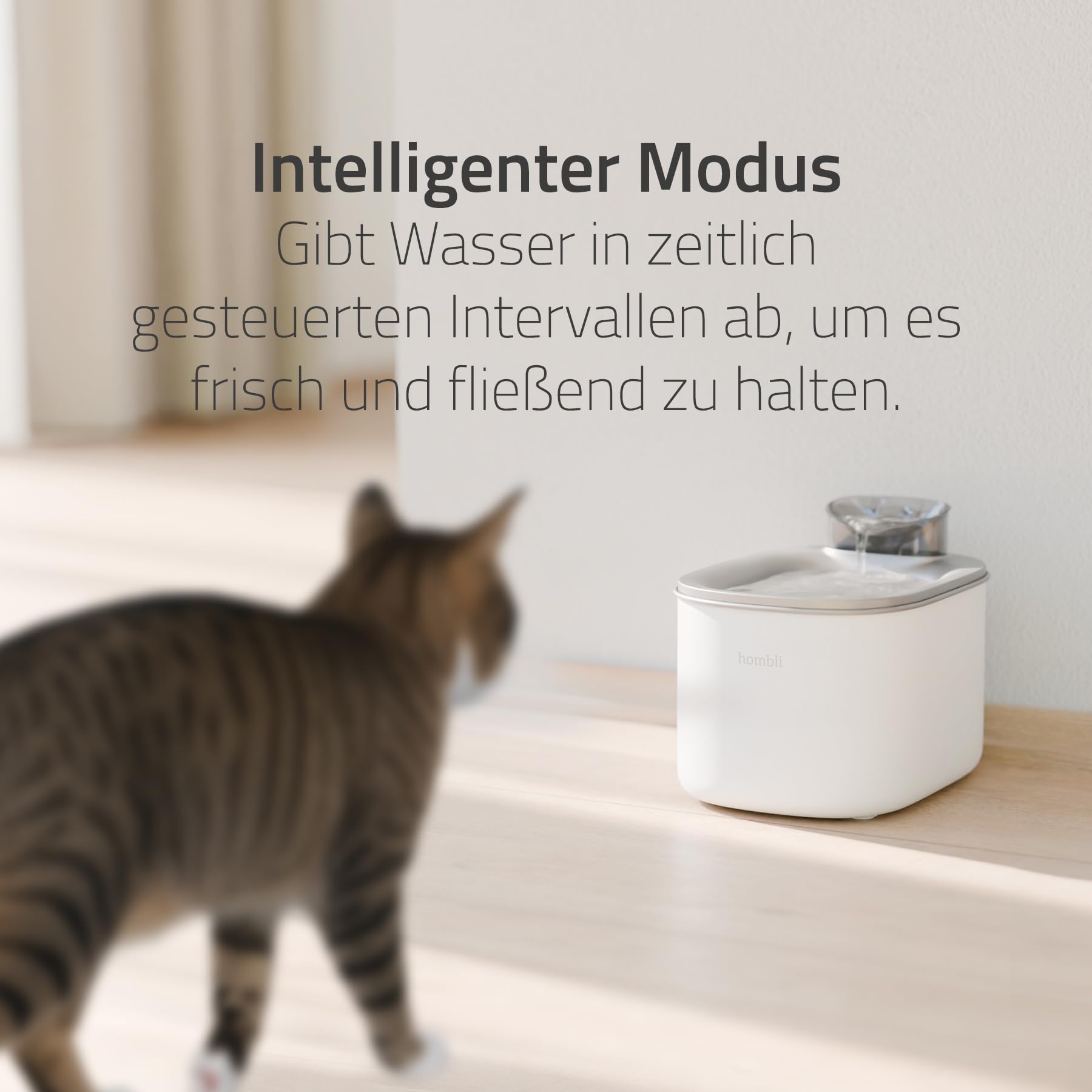 Hombli Smarter Trinkbrunnen für Haustiere, 3,5 l Volumen, leise, Edelstahl-Napf, Filter- und Wasserstandüberwachung, kompatibel mit Alexa & Google