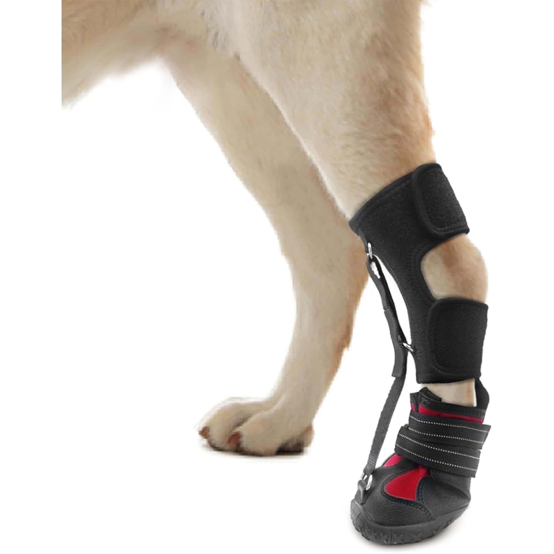 Dog Drop Foot Brace Strap On, Dog Boot Leg Braces for Leg Support(S)