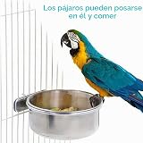 Ver la foto 4